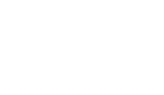 Regatta New River Logo